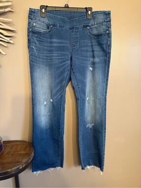 Blueberry Denim Pull On Jeans‎